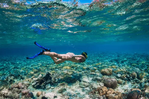 Bali: A Tourism Magnet with Underwater Delights
